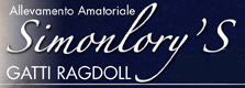 iRagdoll.it - Allevamento Amatoriale Simonlory's Gatti Ragdoll & Pet Therapy